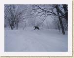 Andy Nay Japan Snowboarding Bandi Alti 026 621 * 2272 x 1704 * (878KB)